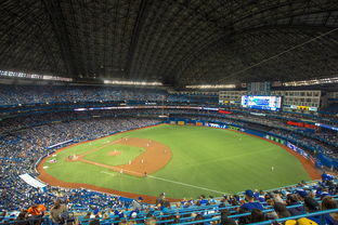 华体会电竞平台-世界击剑锦标赛中国女花首次进四强，击剑世界冠军女